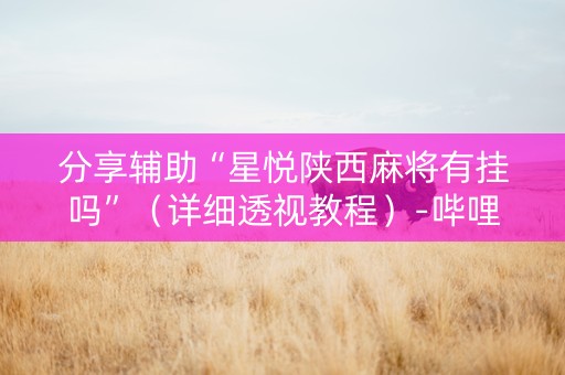 分享辅助“星悦陕西麻将有挂吗”（详细透视教程）-哔哩哔哩