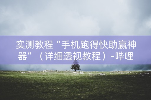 实测教程“手机跑得快助赢神器”（详细透视教程）-哔哩哔哩