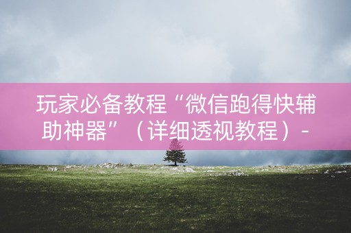 玩家必备教程“微信跑得快辅助神器”（详细透视教程）-哔哩哔哩