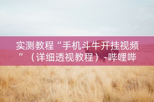 实测教程“手机斗牛开挂视频”（详细透视教程）-哔哩哔哩