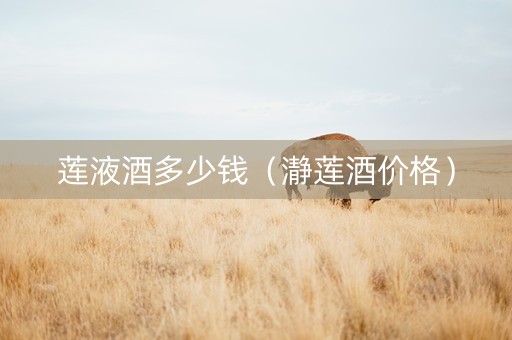 莲液酒多少钱（瀞莲酒价格）