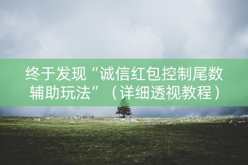 终于发现“诚信红包控制尾数辅助玩法”（详细透视教程）-哔哩哔哩