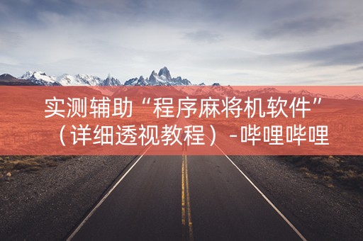 实测辅助“程序麻将机软件”（详细透视教程）-哔哩哔哩