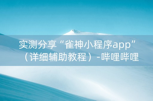 实测分享“雀神小程序app”（详细辅助教程）-哔哩哔哩