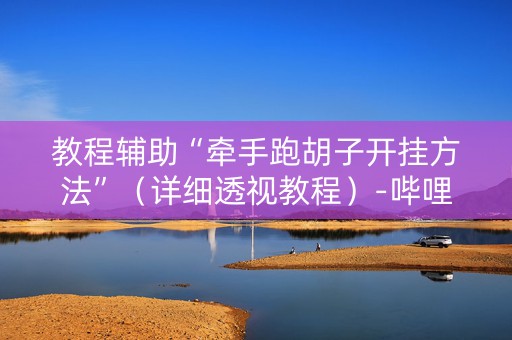 教程辅助“牵手跑胡子开挂方法”（详细透视教程）-哔哩哔哩