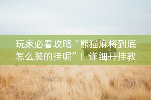玩家必看攻略“熊猫麻将到底怎么装的挂呢”！详细开挂教程（确实真的有挂)-知乎