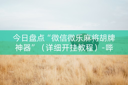 今日盘点“微信微乐麻将胡牌神器”（详细开挂教程）-哔哩哔哩
