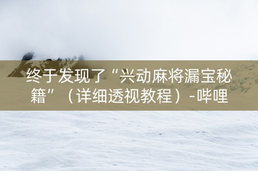 终于发现了“兴动麻将漏宝秘籍”（详细透视教程）-哔哩哔哩