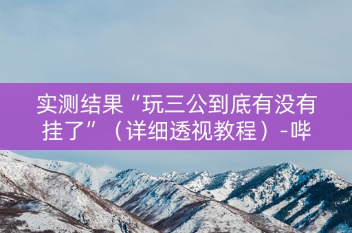 实测结果“玩三公到底有没有挂了”（详细透视教程）-哔哩哔哩