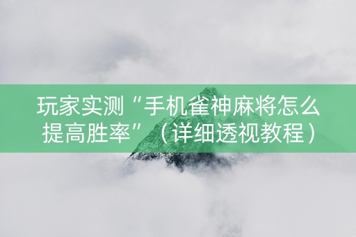 玩家实测“手机雀神麻将怎么提高胜率”（详细透视教程）-哔哩哔哩