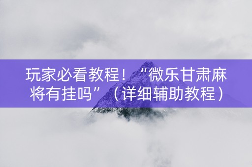 玩家必看教程！“微乐甘肃麻将有挂吗”（详细辅助教程）-哔哩哔哩