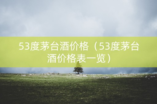 53度茅台酒价格（53度茅台酒价格表一览）