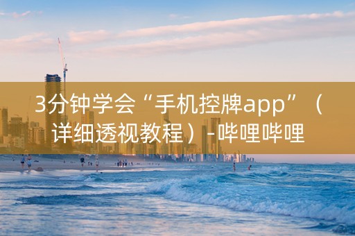 3分钟学会“手机控牌app”（详细透视教程）-哔哩哔哩