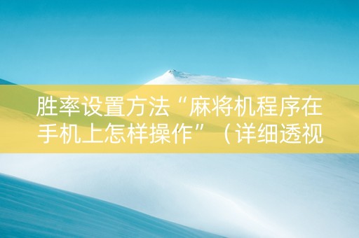 胜率设置方法“麻将机程序在手机上怎样操作”（详细透视教程）-哔哩哔哩
