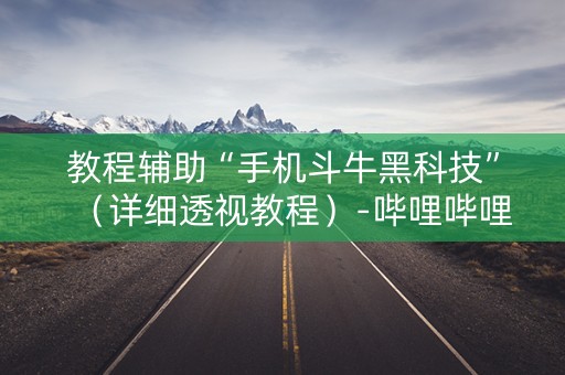 教程辅助“手机斗牛黑科技”（详细透视教程）-哔哩哔哩