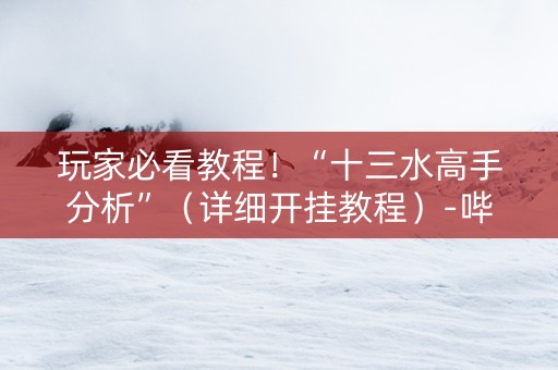 玩家必看教程！“十三水高手分析”（详细开挂教程）-哔哩哔哩
