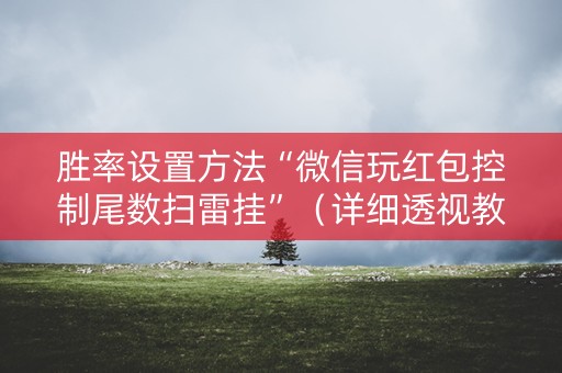 胜率设置方法“微信玩红包控制尾数扫雷挂”（详细透视教程）-哔哩哔哩