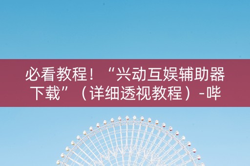 必看教程！“兴动互娱辅助器下载”（详细透视教程）-哔哩哔哩