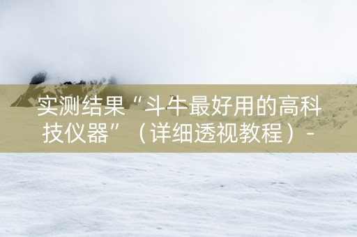 实测结果“斗牛最好用的高科技仪器”（详细透视教程）-哔哩哔哩