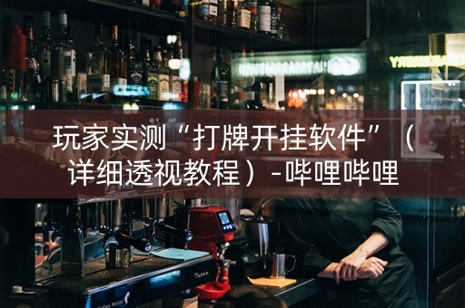 玩家实测“打牌开挂软件”（详细透视教程）-哔哩哔哩