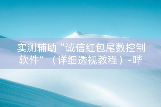 实测辅助“诚信红包尾数控制软件”（详细透视教程）-哔哩哔哩