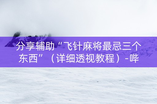 分享辅助“飞针麻将最忌三个东西”（详细透视教程）-哔哩哔哩