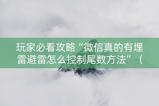 玩家必看攻略“微信真的有埋雷避雷怎么控制尾数方法”（详细透视教程）-哔哩哔哩