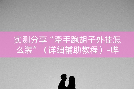 实测分享“牵手跑胡子外挂怎么装”（详细辅助教程）-哔哩哔哩