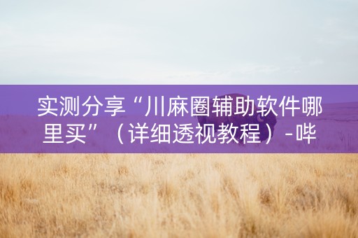 实测分享“川麻圈辅助软件哪里买”（详细透视教程）-哔哩哔哩