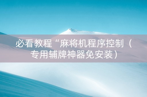 必看教程“麻将机程序控制（专用辅牌神器免安装）