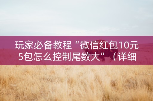 玩家必备教程“微信红包10元5包怎么控制尾数大”（详细透视教程）-哔哩哔哩
