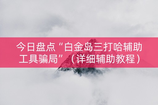 今日盘点“白金岛三打哈辅助工具骗局”（详细辅助教程）-哔哩哔哩