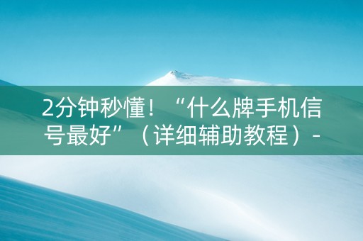 2分钟秒懂！“什么牌手机信号最好”（详细辅助教程）-哔哩哔哩