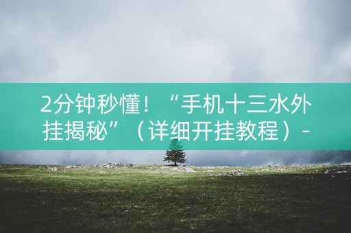 2分钟秒懂！“手机十三水外挂揭秘”（详细开挂教程）-哔哩哔哩