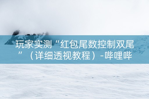 玩家实测“红包尾数控制双尾”（详细透视教程）-哔哩哔哩