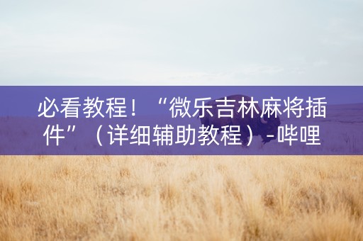 必看教程！“微乐吉林麻将插件”（详细辅助教程）-哔哩哔哩