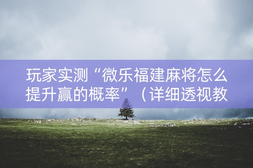 玩家实测“微乐福建麻将怎么提升赢的概率”（详细透视教程）-哔哩哔哩