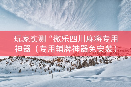 玩家实测“微乐四川麻将专用神器（专用辅牌神器免安装）