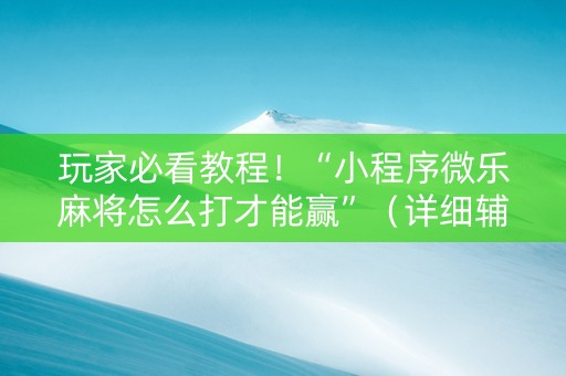 玩家必看教程！“小程序微乐麻将怎么打才能赢”（详细辅助教程）-哔哩哔哩