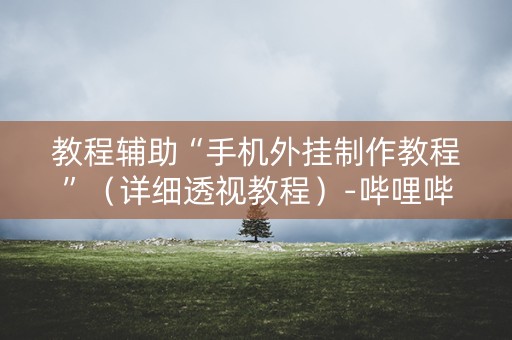 教程辅助“手机外挂制作教程”（详细透视教程）-哔哩哔哩