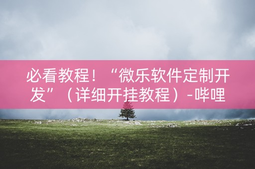 必看教程！“微乐软件定制开发”（详细开挂教程）-哔哩哔哩