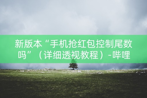 新版本“手机抢红包控制尾数吗”（详细透视教程）-哔哩哔哩