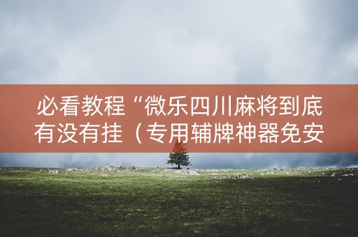 必看教程“微乐四川麻将到底有没有挂（专用辅牌神器免安装）
