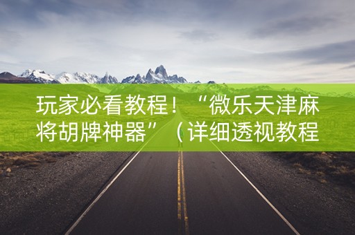 玩家必看教程！“微乐天津麻将胡牌神器”（详细透视教程）-哔哩哔哩