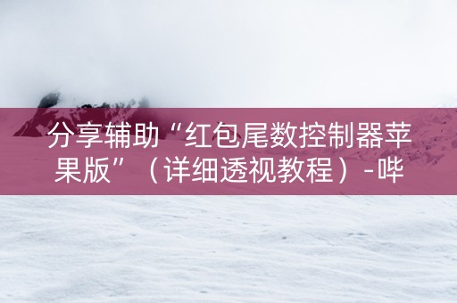 分享辅助“红包尾数控制器苹果版”（详细透视教程）-哔哩哔哩
