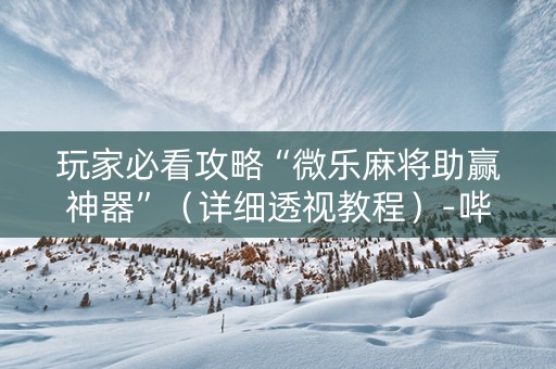玩家必看攻略“微乐麻将助赢神器”（详细透视教程）-哔哩哔哩