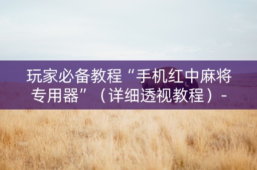 玩家必备教程“手机红中麻将专用器”（详细透视教程）-哔哩哔哩