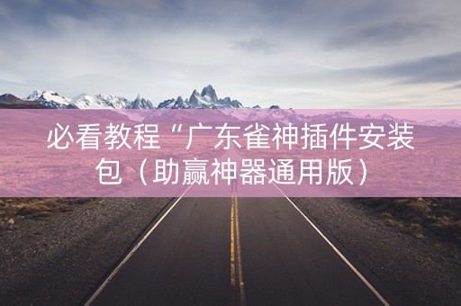 必看教程“广东雀神插件安装包（助赢神器通用版）