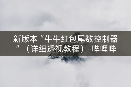 新版本“牛牛红包尾数控制器”（详细透视教程）-哔哩哔哩