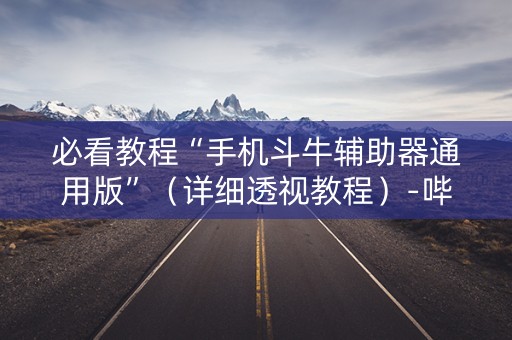 必看教程“手机斗牛辅助器通用版”（详细透视教程）-哔哩哔哩